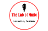 Lab Of Music